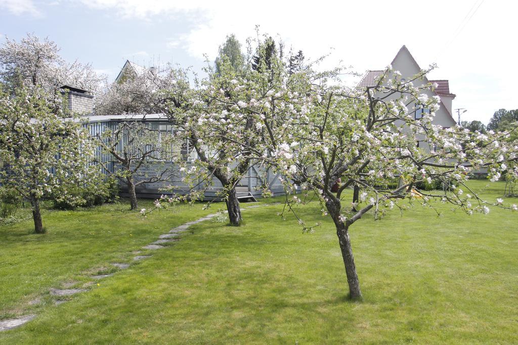 Villa Marleen Pärnu Kültér fotó
